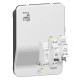 Borne EVlink Plus 7.4 kW + protections électriques