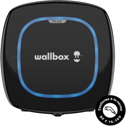 Borne de recharge compacte Pulsar Plus